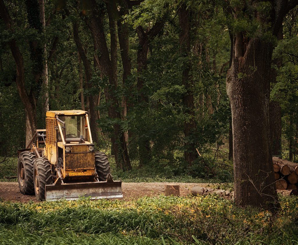 A bulldozer in the woods.