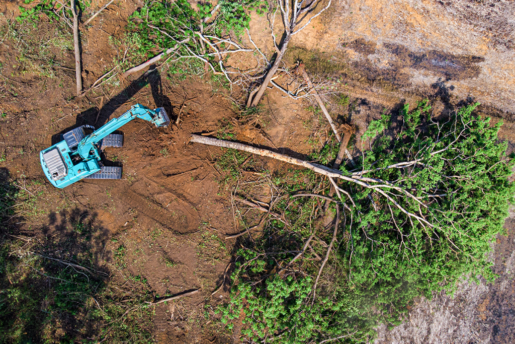 Excavation equipment with trees on the ground surrounding it