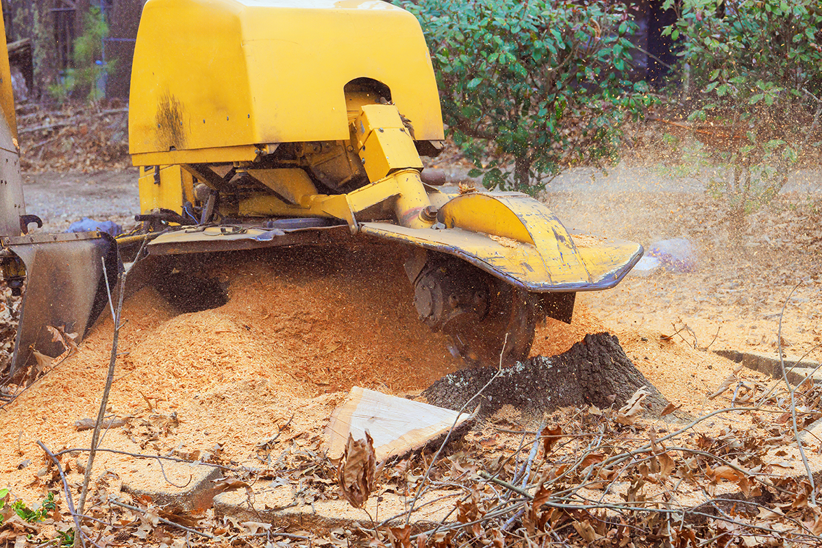 A large piece of equipment shredding wood