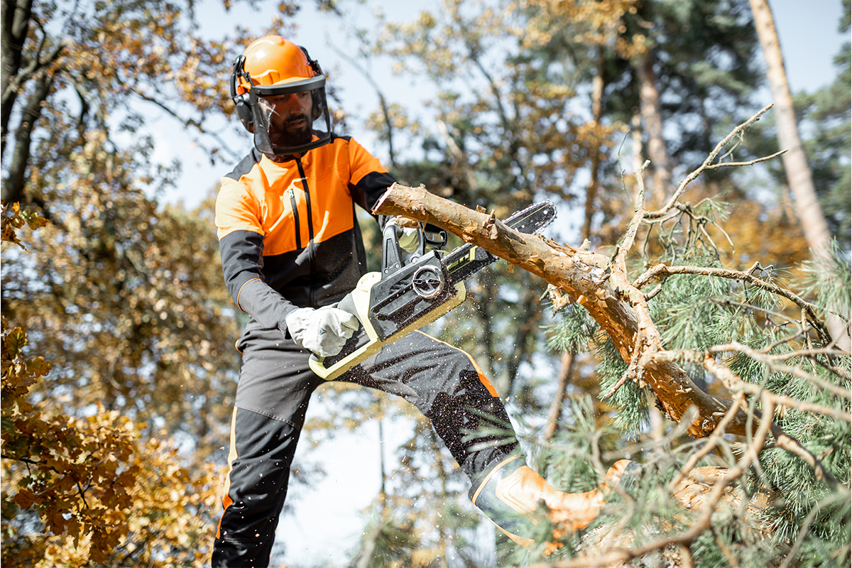 A man cutting a tree limb with a chainsaw